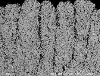 Axial III SPS columnar TBC